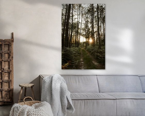 Aperçu de la chambre