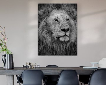 Der König der Löwen
