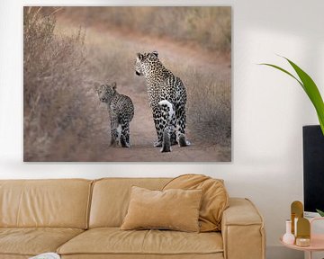 Mutter und Tochter Leopard