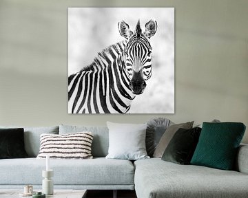 Porträt eines Zebras