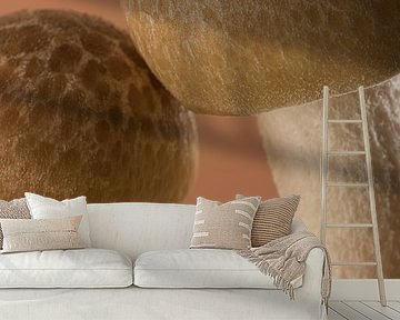 Mocha Mousse Mushrooms: Together in pairs by Marjolijn van den Berg