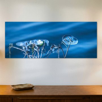 Abstraction naturelle dans les formes de glace