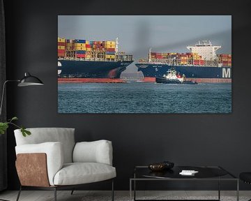 MSC Eva ontmoet zusterschip MSC Benedetta XIII. van Jaap van den Berg
