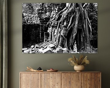 Dein Som in Monochrom: Wenn die Natur den Stein küsst von Frank Photos