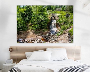 Uitzicht op de waterval bij de Oderteich-vijver van Andreas Völkel