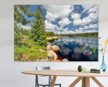Uitzicht op de Oderteich vijver in het Harz gebergte in Duitsland van Andreas Völkel