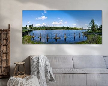 Uitzicht op de Oderteich vijver in het Harz gebergte in Duitsland van Andreas Völkel