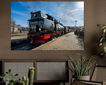 Aperçu de la locomotive à vapeur du chemin de fer à voie étroite du Harz