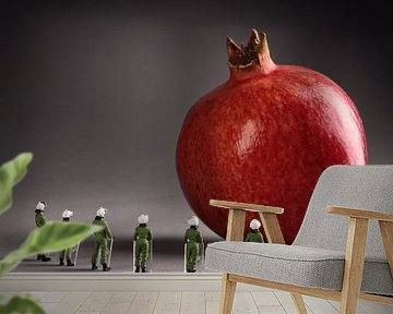 pomegranate by Remko Killaars