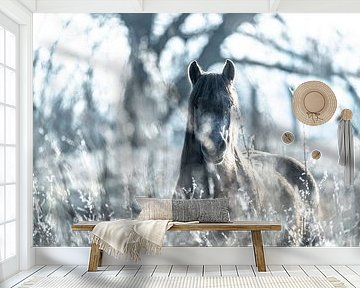 Frozen Mystic Horse in Winter Light