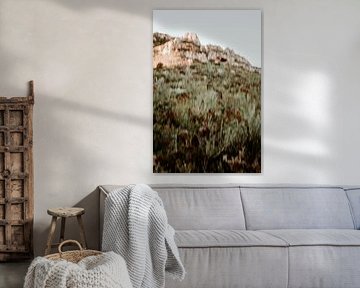 Des montagnes de rêve