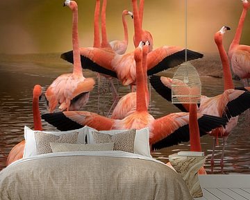 Flamingos an einem schönen Tag.