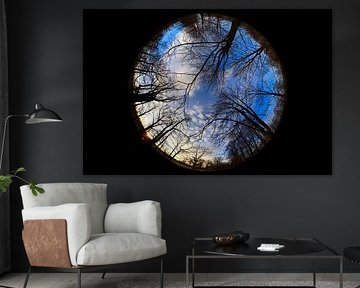 Regard vers le ciel un soir d'hiver