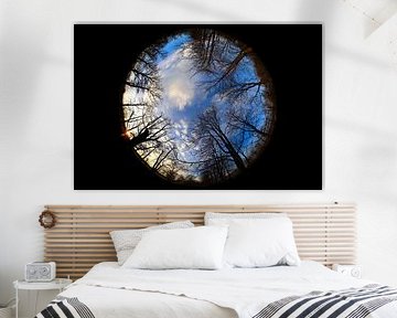 Regard vers le ciel un soir d'hiver