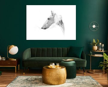 Paard Etherele Gratie in High-Key Portret van Femke Ketelaar