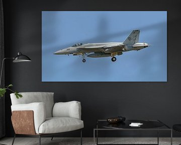 Boeing F/A-18E Super Hornet de la marine américaine de la VFA-87 Golden Warriors.