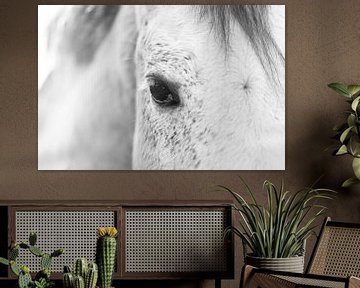 Paard Tijdloze Elegantie Zacht Portret van een Wit Paard in Zwart-Wit van Femke Ketelaar