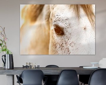 Paard Zonovergoten Zachtheid Blik van een Wit Paard van Femke Ketelaar