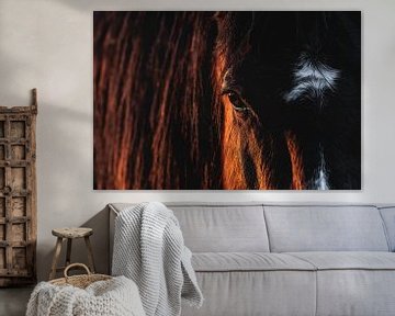 Paard Oog van de Ziel Intieme Blik van Femke Ketelaar