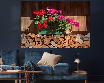 flower box with geranium on stacked firewood by SusaZoom