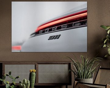 Porsche 911 detail in Lapland van Bas Fransen
