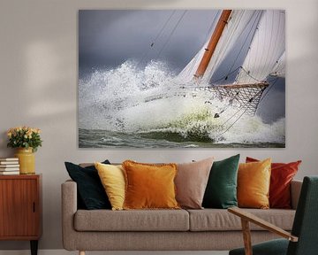 Lemsteraak en action