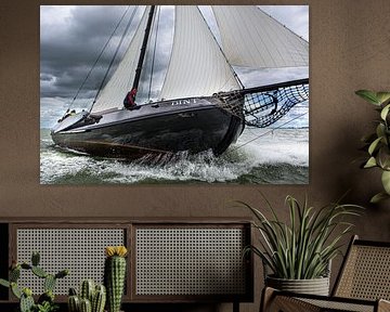 Lemsteraak en action