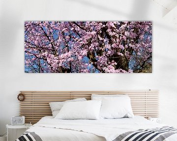 Roze bloesem in de lente tegen een blauwe lucht van Corinne Welp