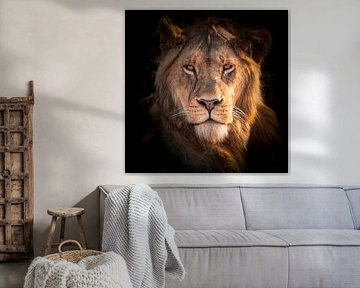 Lion dans le Serengeti sur Brigitte de Laat