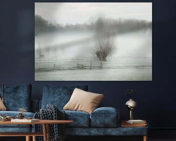 Mist in de polder