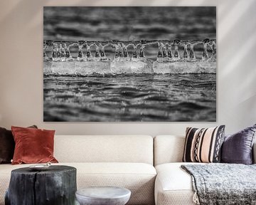 Abstracte Ijs vormen aan prikkeldraad van Peter Venema