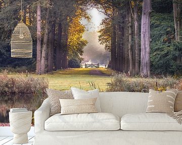 Waldweg von Arjan van den Berg