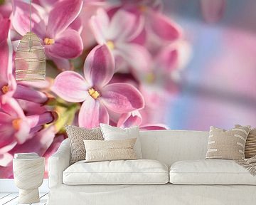 Frühling von Violetta Honkisz