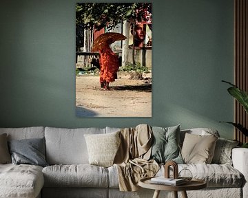 Daily life of monks in Cambodia by Frank Photos