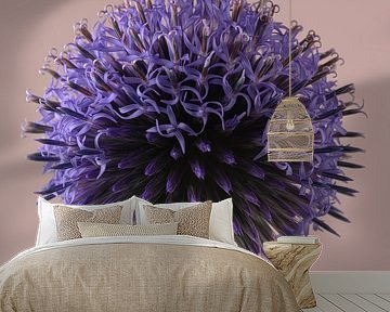 Simplicity in a square: The Ball Thistle comes to fruition by Marjolijn van den Berg