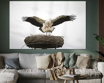Storks on the nest by Frank Smedts