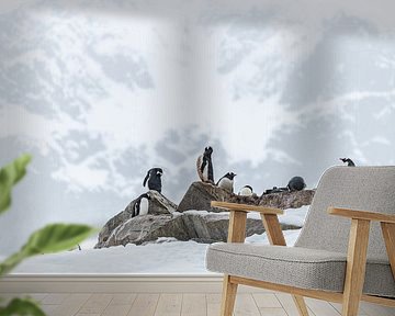Gentoo Pinguins Antarctica voor berg van Nanda Bussers