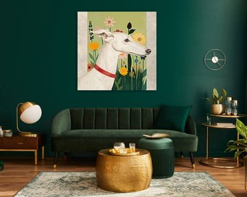 Greyhound