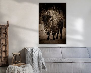 Bison by Andre Bach