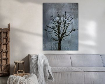 Bald Tree by Jon Vismans
