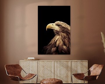 Steinadler von Karina Moersch