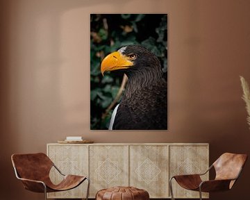 Seeadler von Karina Moersch