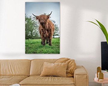 Hoogland vee van Karina Moersch
