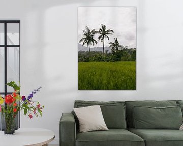 "Rice Fields of Sidemen, Bali - Tropical Landscape with Palm Trees" by Demi Visser