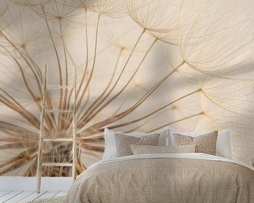 Rural tranquillity: The fluff ball of a Tragopogon by Marjolijn van den Berg