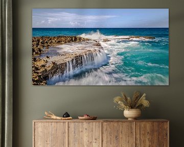 Cudarebe Aruba van Harold van den Hurk