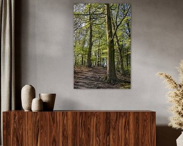 Vroege lente in Raspaillebos, België van Imladris Images