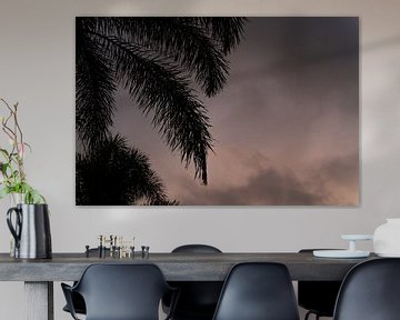 Palme auf Bali mit Sonnenuntergang