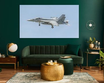 Boeing F/A-18E Super Hornet de la marine américaine de la VFA-105 Gunslingers.