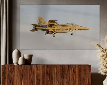 Boeing F/A-18F Super Hornet de la VFA-213 Blacklions de la marine américaine.